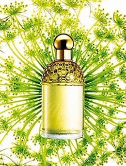 Guerlain
