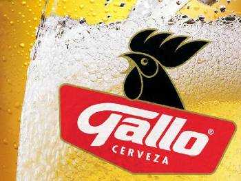 Gallo Cerveza