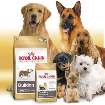 Історія бренду Royal Canin