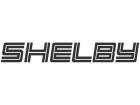 shelby_type